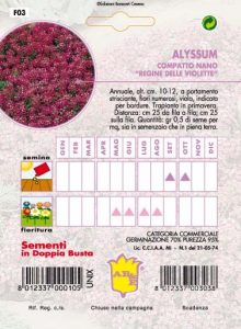 ALISSO Nano giallo perenne