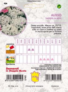 ALISSO Nano viola autunnale