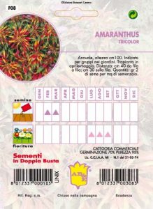 AMARANTUS Coda di volpe