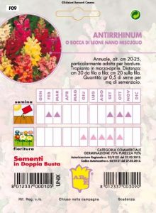 ANTHIRHINUM Bocca di leone nana mix
