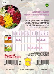 ANTHIRHINUM Bocca di leone nana mix