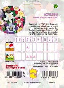 ANTHIRHINUM Bocca di leone nana mix