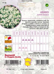 AQUILEGIA Perenne mix