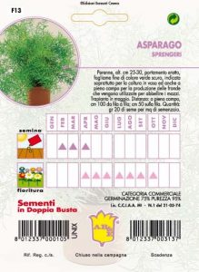 ASPARAGO Plumoso nano perenne