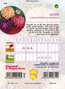 ASPARAGO Plumoso nano perenne