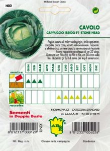 CAVOLO CAPPUCCIO