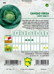 CAVOLO VERZA Savoy King