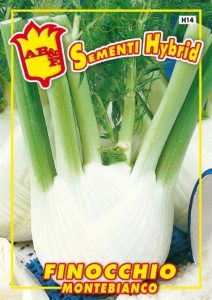 FINOCCHIO Montebianco