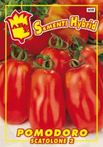 POMODORO S.Marzano Scatolone