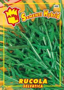 RUCOLA Selvatica