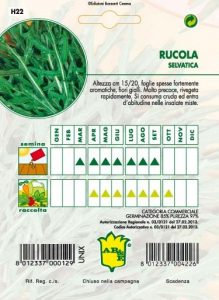 RUCOLA Selvatica