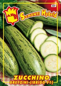 ZUCCHINO Chiaro Greyzini