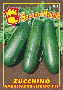 ZUCCHINO Scuro Ambassador