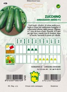ZUCCHINO Scuro Ambassador