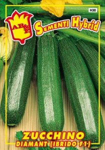 ZUCCHINO Diamant