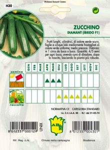ZUCCHINO Diamant