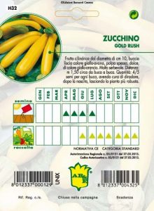 ZUCCHINO Gold Rush (giallo)