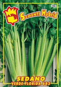 SEDANO Florida