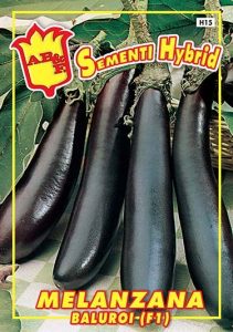 MELANZANA Lunga Violetta