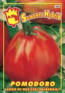 POMODORO Pearson o Cuor di Bue (sel. Albenga)
