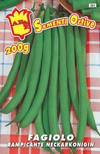 FAGIOLO RAMPICANTE VERDE S. Fiacre o Pelandrone