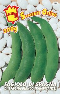 FAGIOLO RAMPICANTE Spagna bianco