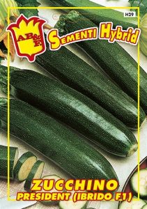 ZUCCHINO Scuro President
