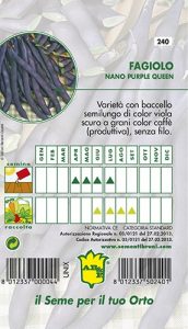 FAGIOLO NANO VERDE Purple Queen viola