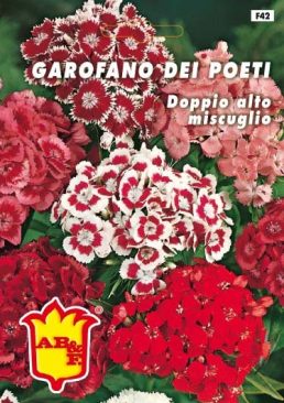 GAROFANO DEI POETI Alto mix