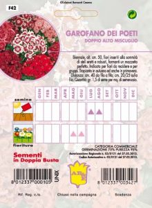 GAROFANO DEI POETI Alto mix