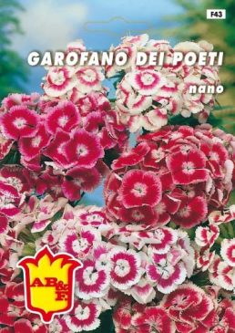 GAROFANO DEI POETI Nano mix