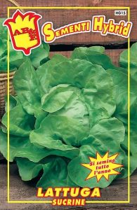 LATTUGA Sucrine