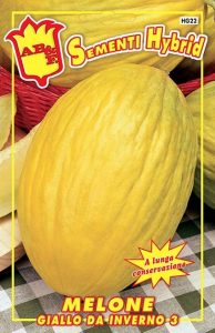 MELONE Giallo da Inverno 3