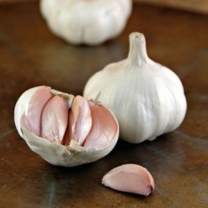 Aglio Arno, Vivalto e Cristo (Bianco)