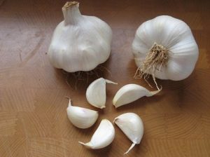 Aglio Messidor (Bianco)