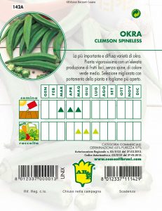 CICORIA / RADICCHIO Selvatica da Campo